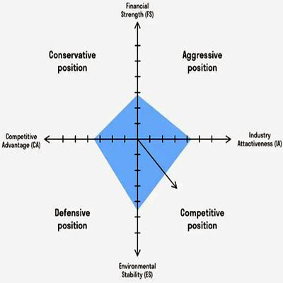 Space Matrix space matrix analysis