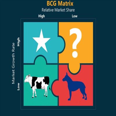 BCG Matrix BCG Matrix